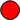 Marker